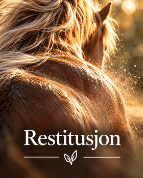 Hovedbilde Restitusjon