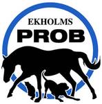 Ekholms PROB