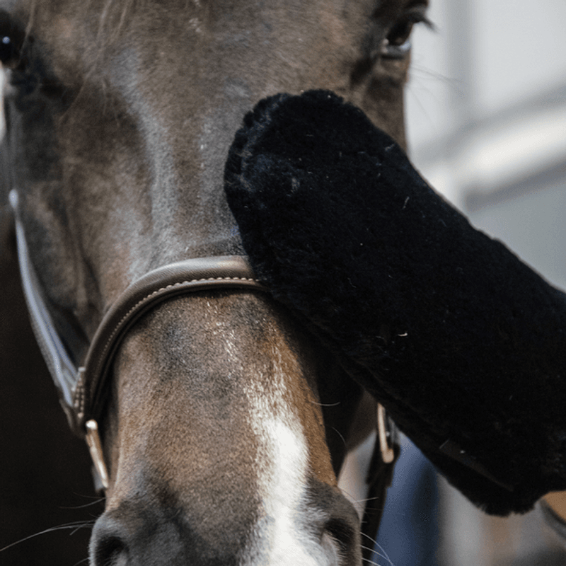 Grooming Deluxe Sheepskin Grooming Glove