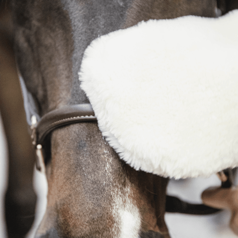 Grooming Deluxe Sheepskin Grooming Glove