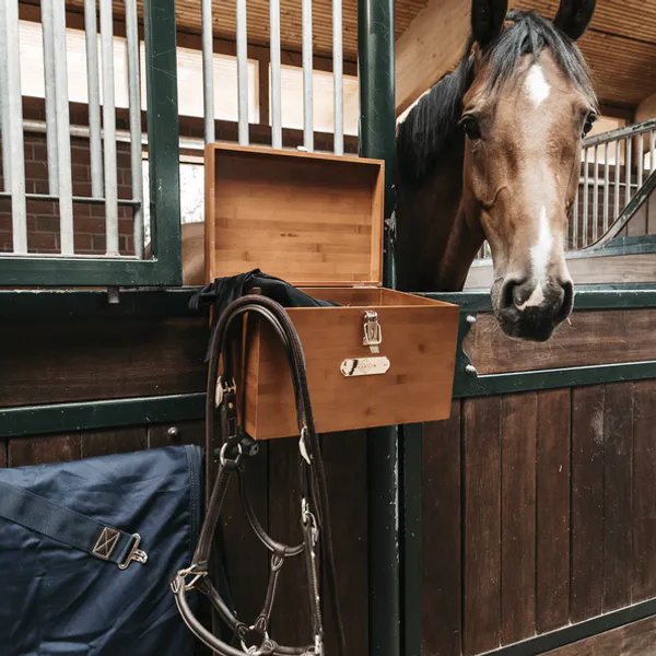 Grooming Deluxe Stable Tack Box