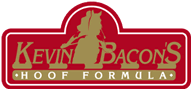 Kevin Bacons