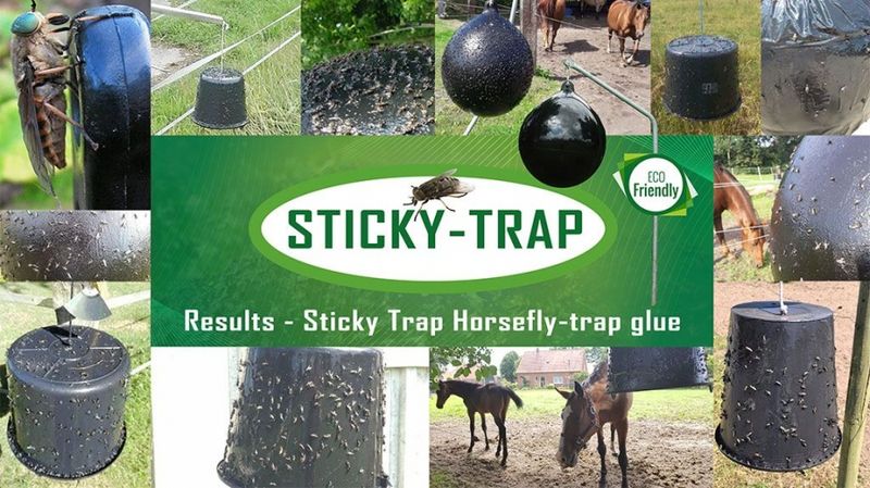 Sticky Trap Horsefly Glue