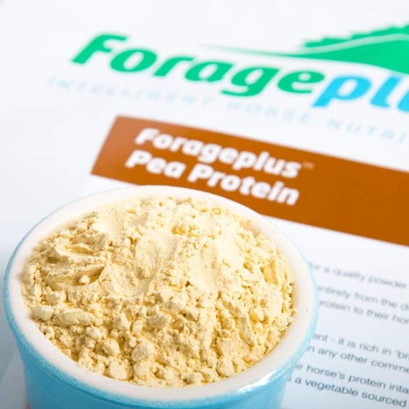 Forageplus Pea Protein (Organic)