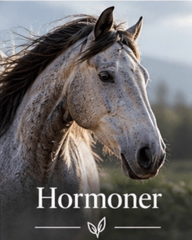Hovedbilde Hormonsystemet