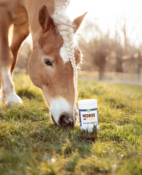 HorseFlex Glucose Support