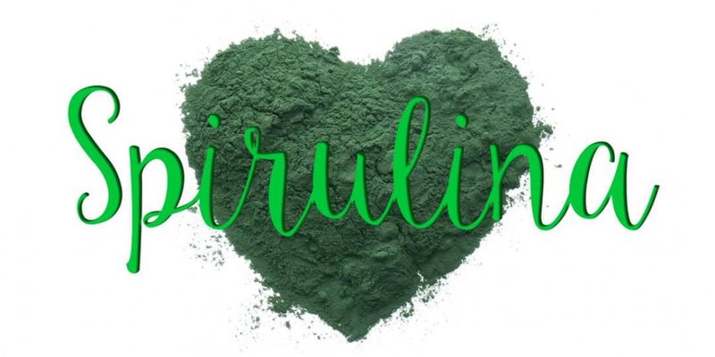 HorseFlex Spirulina