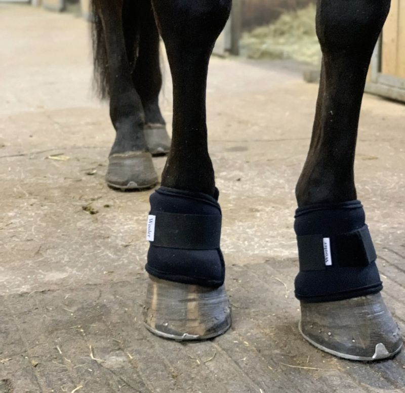 Wooler Pastern Wraps