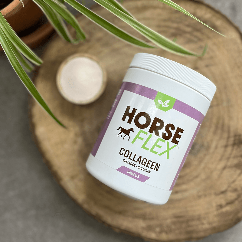 HorseFlex Collagen Complex