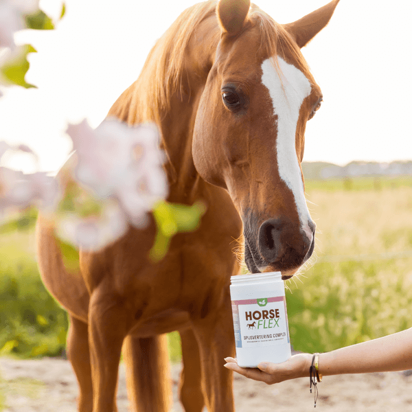 HorseFlex Digestion Complex