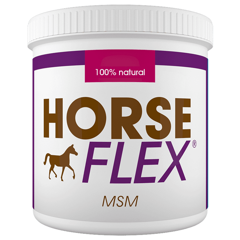 HorseFlex MSM