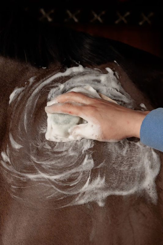 Grooming Deluxe Shampoo Bar