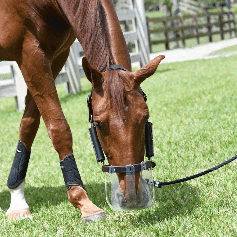 ThinLine Flexible Grass Mask