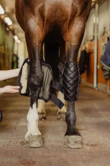 Hovedbilde Wooler Knee Pads