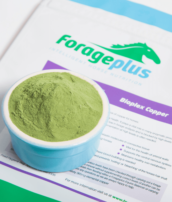 Forageplus Bioplex Kobber