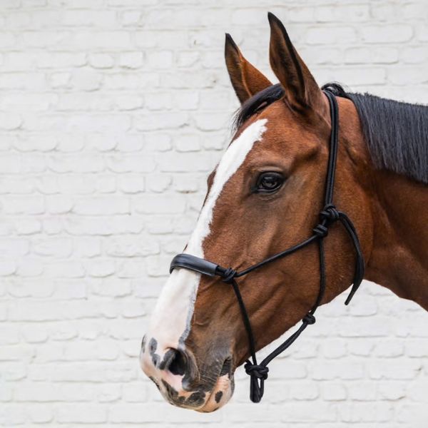 Kentucky Rope Halter
