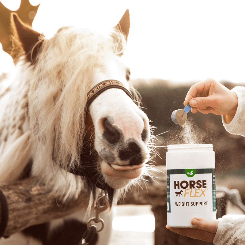 HorseFlex Weight Support
